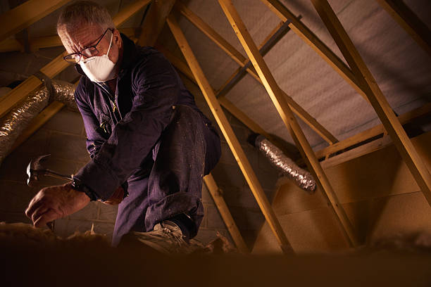 Best Insulation Contractor Near Me  in Fordyce, AR